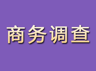 诏安商务调查